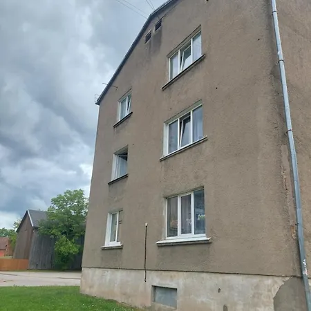 Pigeon Kuldīga
